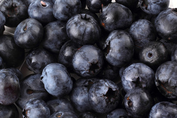 Blueberries background