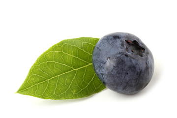 Blueberry and leaf