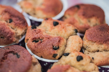 Mini Muffin Cupcake Baking Chocolate Chip