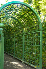 Semicircular green arch with plants in the summer garden