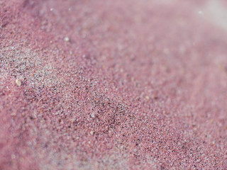 Pink sand on the lake shore. Sandy pink beach