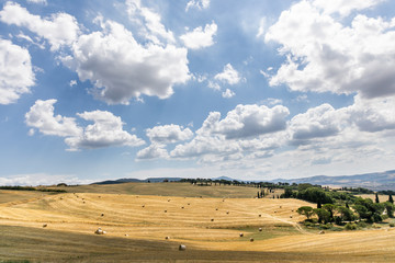 Tuscany landscape in summer time - wave hills, cypresses trees and beautiful blue sky.