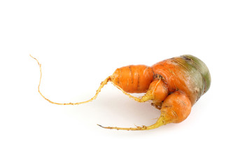 Ugly carrot