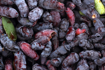 Honeysuckle berries background
