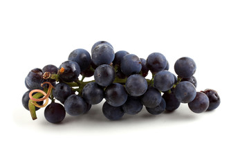 Black wine grape