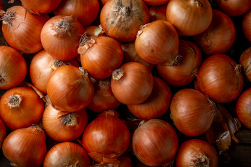 Fresh ripe onions on wood background.
