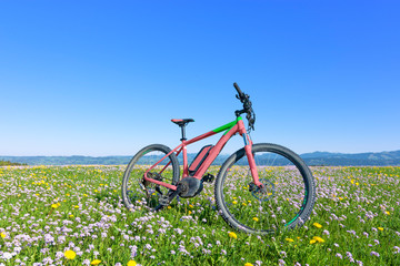 Bicycle in a colorful spring meadow with yellow dandelions and white cuckoo flowers. Blue sky...