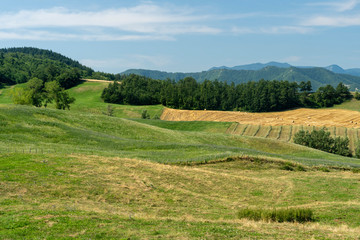 Summer landscape near Bagno di Romagna, in the Appennino