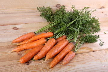Carrots harvest