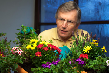 Mature gardener planting flowers in plant pots