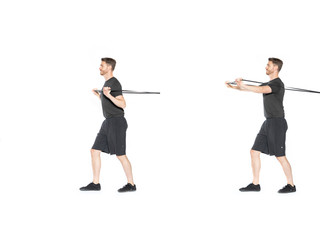 Band Resisted Chest Press Gym Exercise