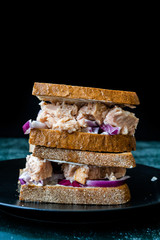 Tuna Fish Sandwich with Red Onions, Mayonnaise and Multigrain Light Toast Bread.