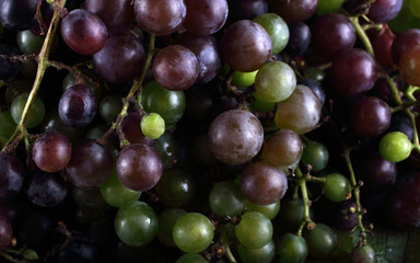 Different color grape