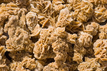 Gypsum crystals, desert rose, sand rose