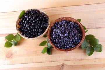 Blueberry harvest. Different varieties - Vaccinium corymbosum and Vaccinium uliginosum.