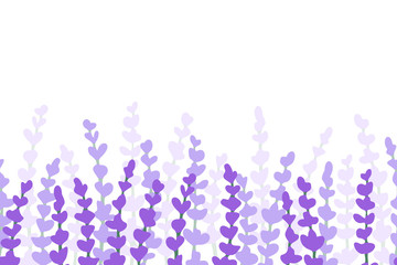 Vector seamless border from lavender. Cute light floral design, isolated on white background