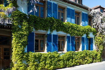 Fototapeta na wymiar Haus mit blauen Fensterländen in Eppingen