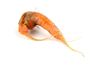 Ugly carrot
