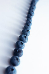a row of ripe blueberries on a white background
