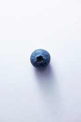 one blueberry on a white background