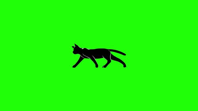 cat run, green screen, choma key, pets, black cat,cats,