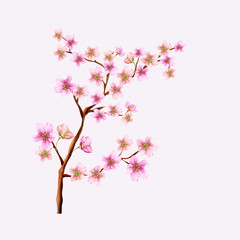 Elegant cherry blossom wedding invitation theme