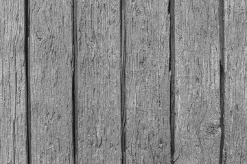 Fototapeta premium Rustic wood texture or background in monochrome.
