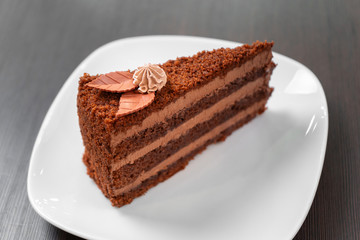 Chocolate sponge cake on a white plate.