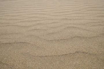 Fototapeta na wymiar Pristine white empty white sand backdrop.