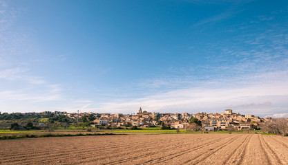 Fototapeta na wymiar General view of the village of Montuiri