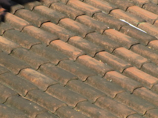 Textura telhas