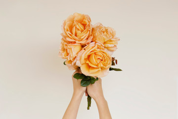 Cropped shot of female hand holding a bouquet of pale pink roses with lush buds and thorns on a green stem. Textured backgound, copy space for text. Top view, minimalistic composition.