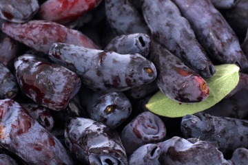 Honeysuckle berries background