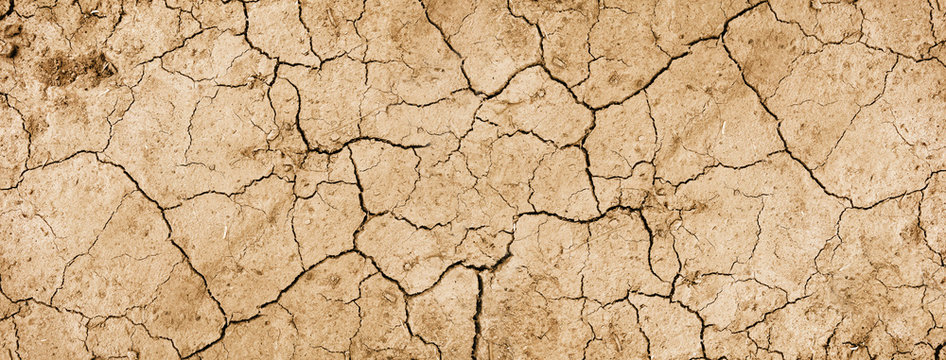 Dry mud background texture banner