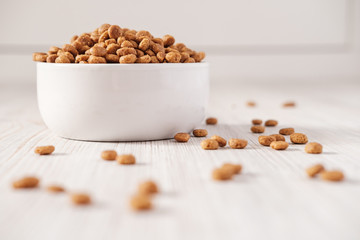 Dry pet food is in a white porcelain bowl and scattered on the floor. Close-up.