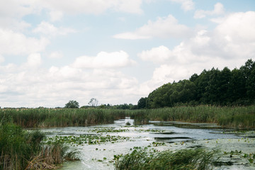 river in the summer before a thunderstorm