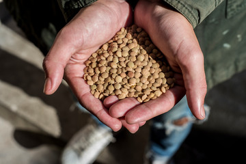 young man with organic lentils in his hands showing the current trend to a healthy and balanced diet