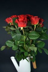 Bouquet of red roses in a vase isolated on dark background. Happy mothers day, women's day, wedding and valentines day. Greeting card.