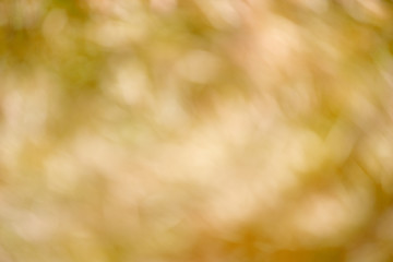 Backgrounds of lights and colors of nature