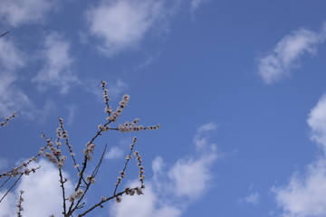 Obraz premium sky and clouds