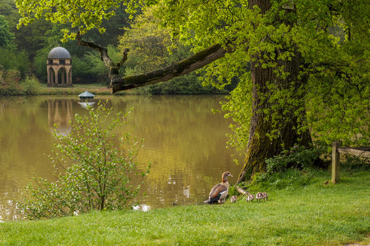 Walk around Benbow Pond, and Cowdray golf coarse in the Southdown National Park