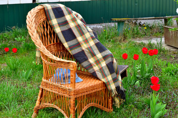 Near the house in the garden there is a wicker armchair made of twigs, on which they left a...