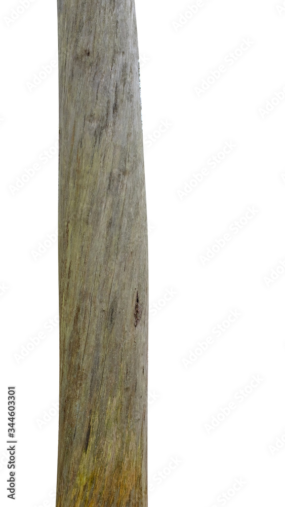 Aufkleber pine trunk isolated on a white background. tree for design
