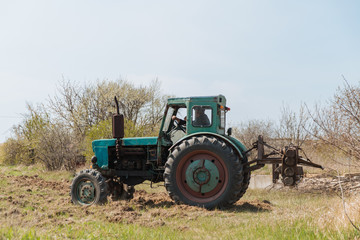 An old blue tractor plows a field and cultivates the soil. Agriculture