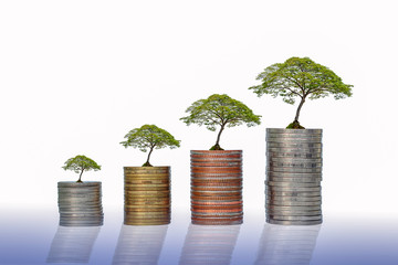 The concept of stages of coins stacked with tree growth, saving money and investments or family planning concepts.