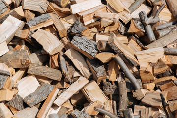 Texture, chopped firewood from different species of trees.