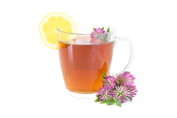 Delicious herbal tea with red Clover (Trifolium pratense) flowers in a glass mug isolated on white background.