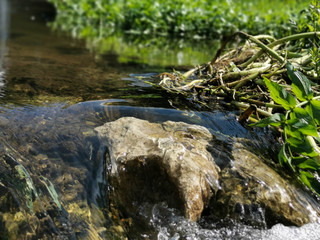 Fototapeta na wymiar piedra en el rio