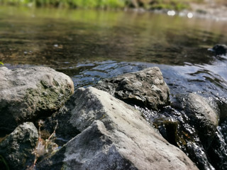 Fototapeta na wymiar piedra en el rio