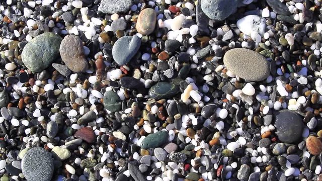 Walking The Beach Looking For Treasures And Polished Rocks Like The Ever Popular Agate In Gold Beach Oregon